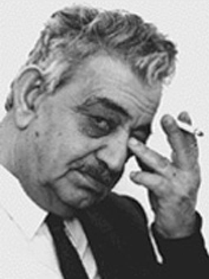 Emile Habibi